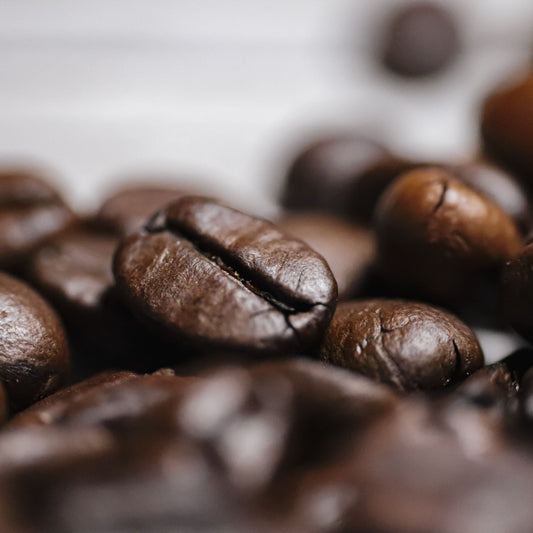 Fresh Coffee Beans