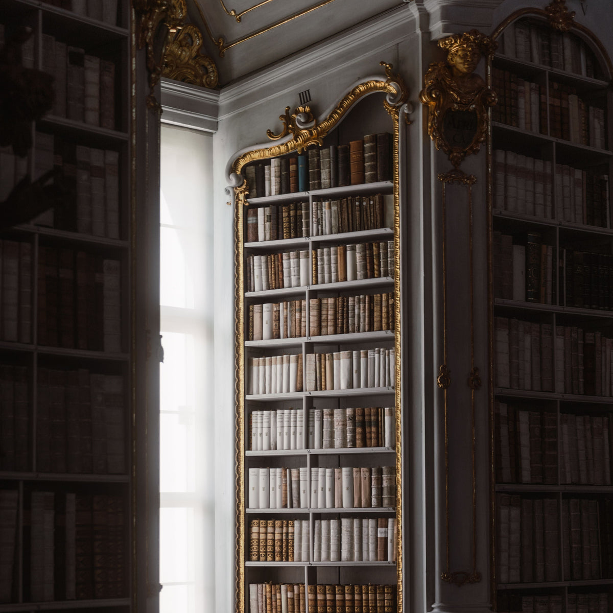 Alexandria Library