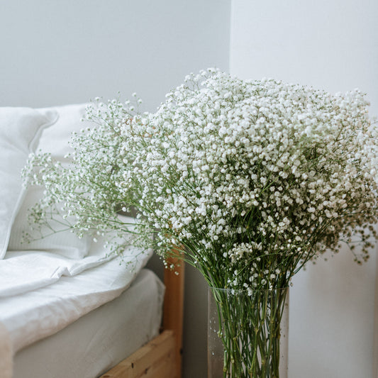 Baby's Breath Flower